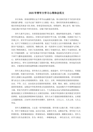2025年青年大学习心得体会范文