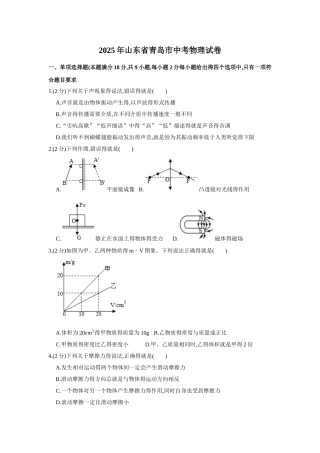 2025年青岛市中考物理word版