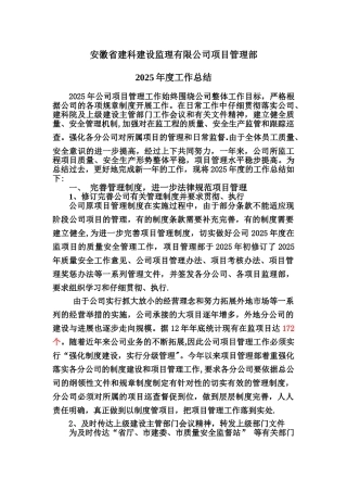 2025年项管部年终总结