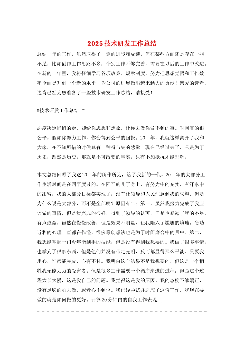 2025技术研发工作总结_第1页