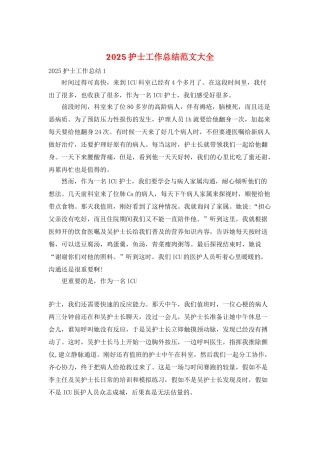 2025护士工作总结范文大全
