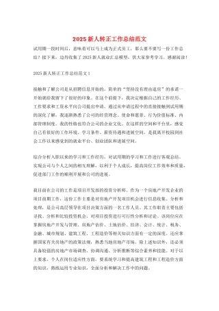2025新人转正工作总结范文
