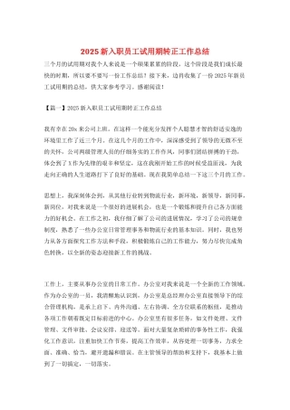 2025新入职员工试用期转正工作总结