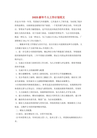 2025新年个人工作计划范文