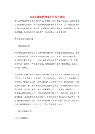 2025最新销售业务员实习总结
