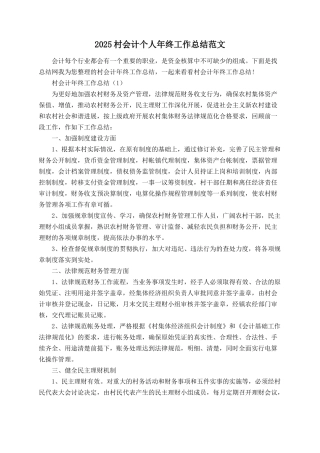 2025村会计个人年终工作总结范文