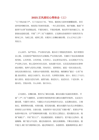 2025正风肃纪心得体会
