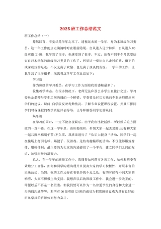 2025班工作总结范文