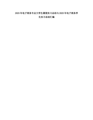 2025电子商务专业大学生暑假实习总结