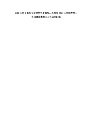 2025电子商务专业大学生暑假实习总结2