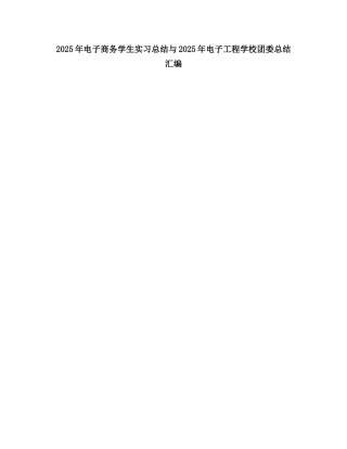 2025电子商务学生实习总结