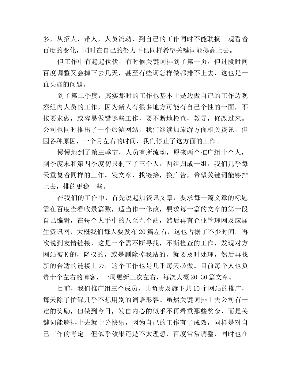 2025网站推广年终总结及2025工作计划_第3页