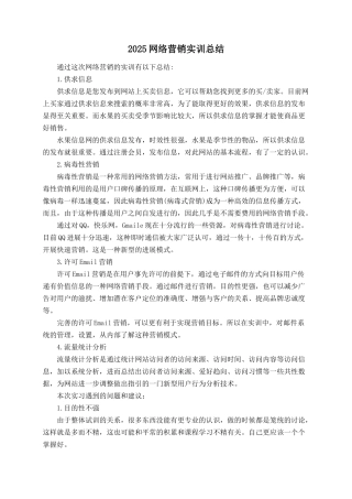 2025网络营销实训总结