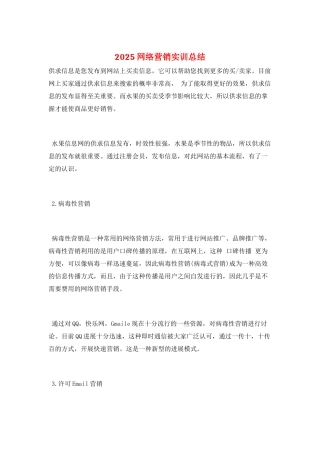 2025网络营销实训总结