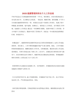 2025能源管理科科长个人工作总结