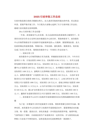2025行政审批工作总结