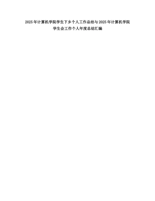 2025计算机学院学生下乡个人工作总结