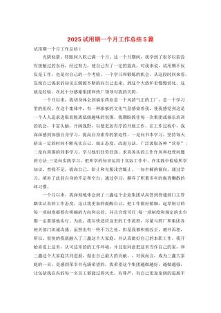 2025试用期一个月工作总结5篇