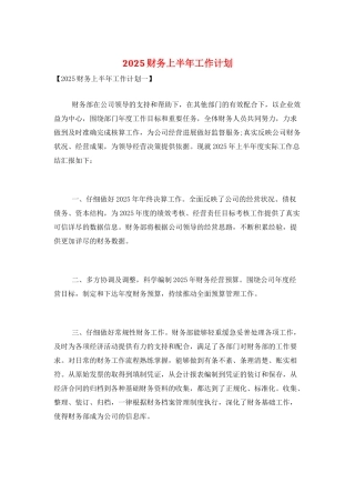 2025财务上半年工作计划