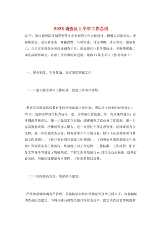 2025调查队上半年工作总结