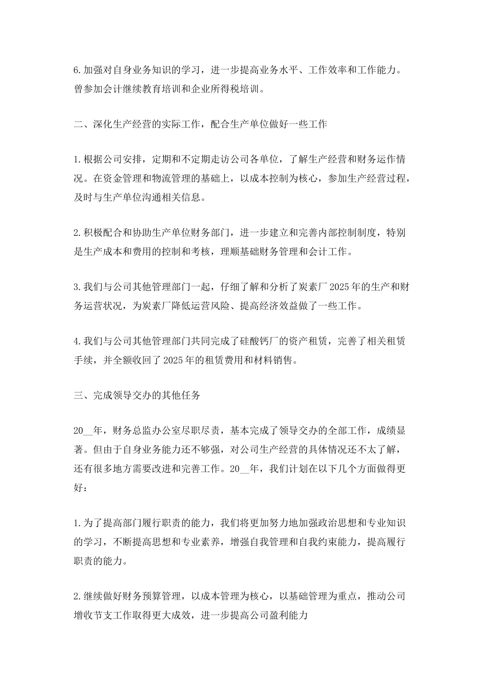 2025财务总监年度考核个人总结_第2页