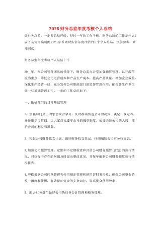 2025财务总监年度考核个人总结