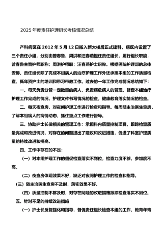2025责任组长年度考核总结