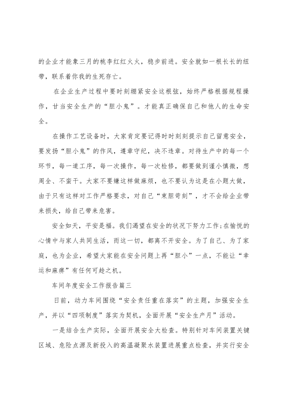2025车间安全年度工作报告总结范文_第3页