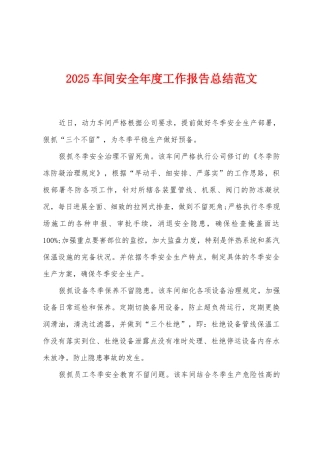 2025车间安全年度工作报告总结范文