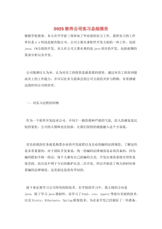 2025软件公司实习总结报告