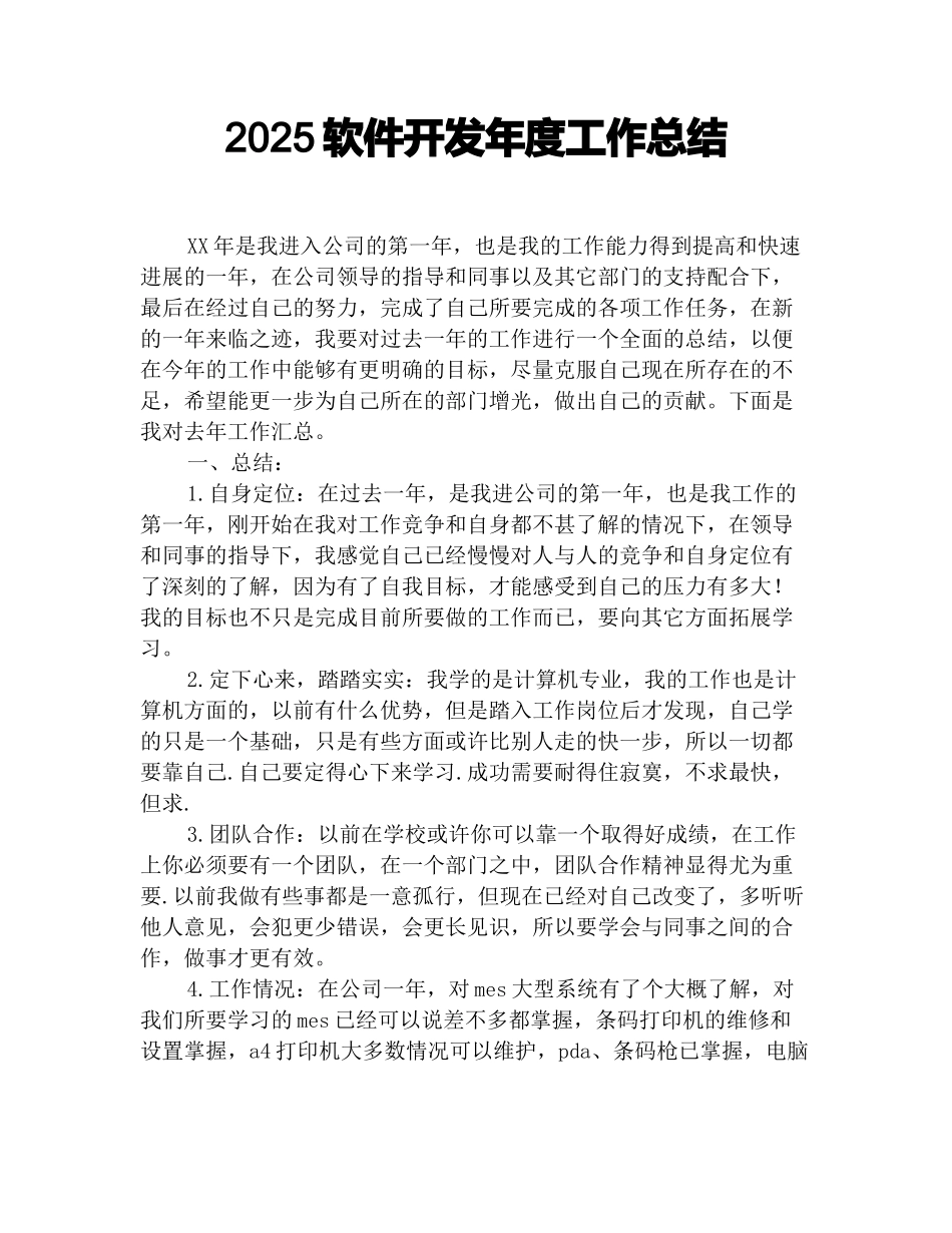 2025软件开发年度工作总结_第1页