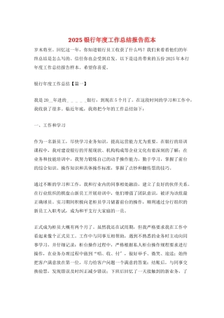 2025银行年度工作总结报告范本