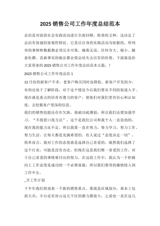 2025销售公司工作年度总结范本