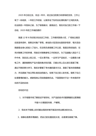 2025销售工作总结总结
