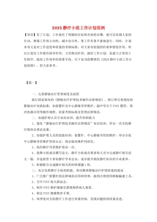 2025静疗小组工作计划范例