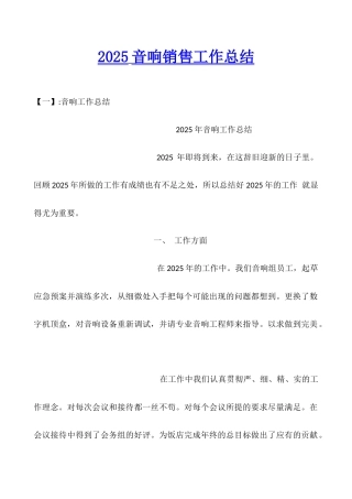 2025音响销售工作总结