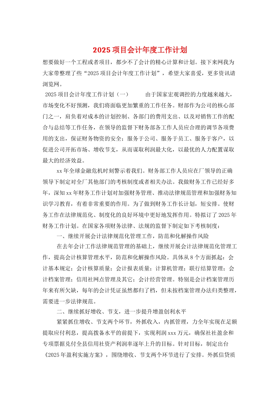 2025项目会计年度工作计划_第1页