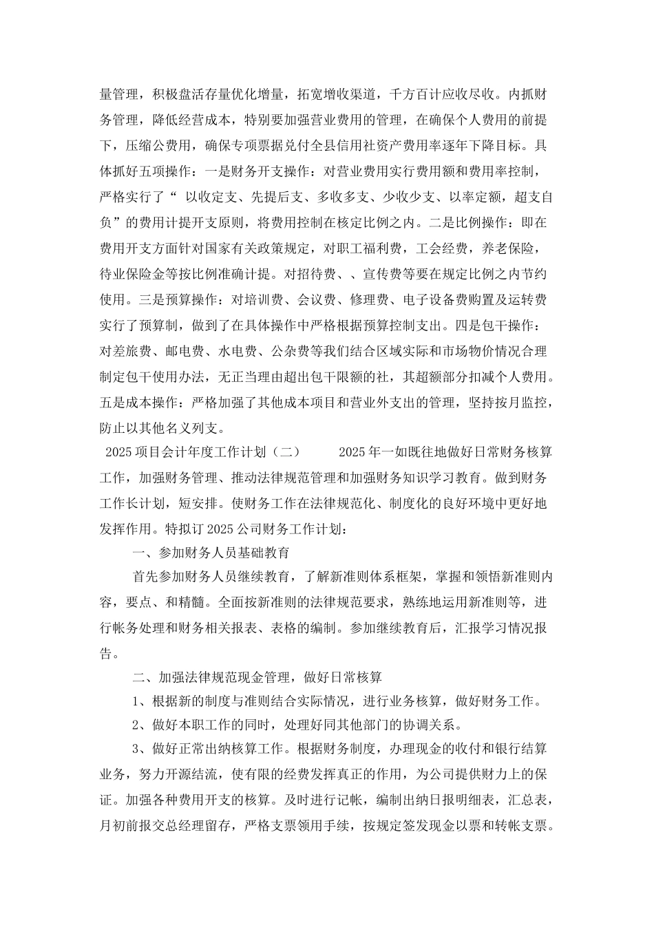 2025项目会计年度工作计划_第2页