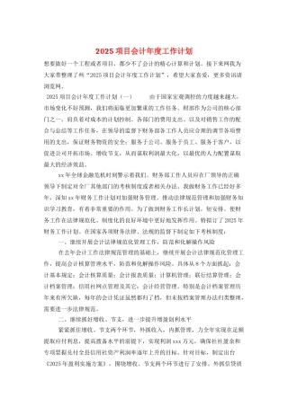 2025项目会计年度工作计划