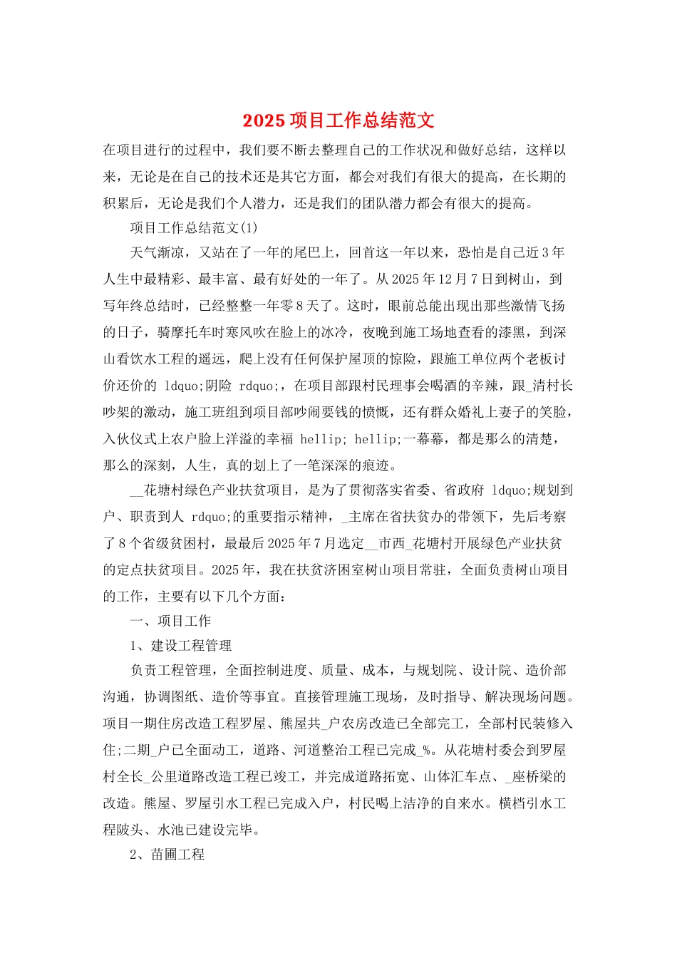 2025项目工作总结范文_第1页