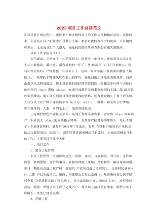 2025项目工作总结范文