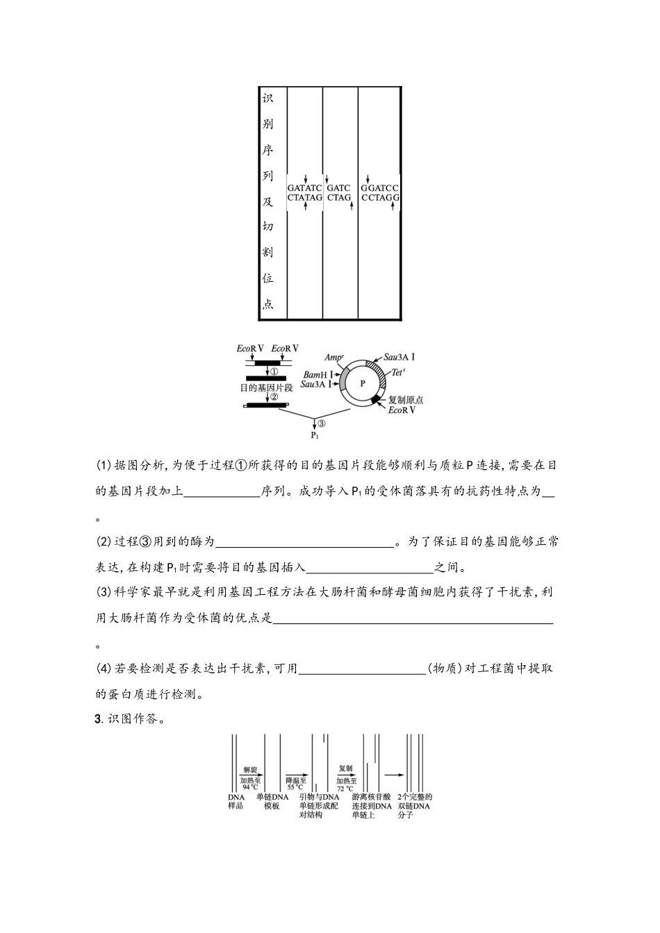 2025高考生物一轮复习-课时练39-基因工程新人教版_第3页