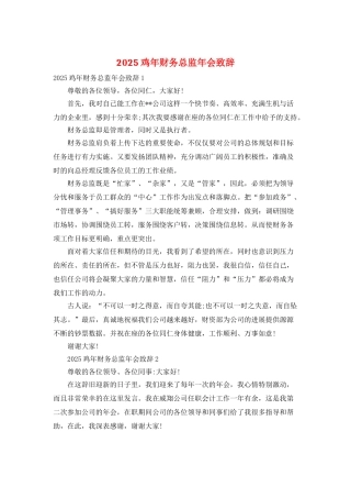 2025鸡年财务总监年会致辞