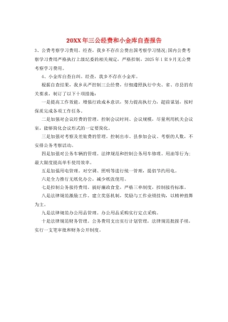 20XX年三公经费和小金库自查报告