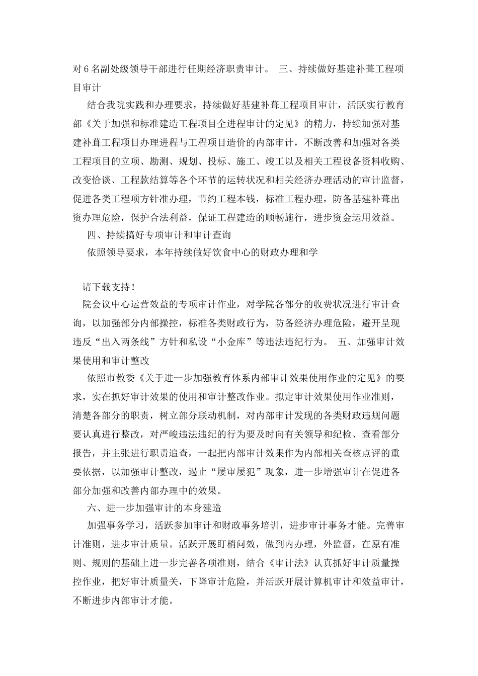 20XX年内部审计工作计划范文_第2页