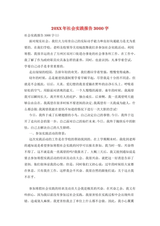 20XX年社会实践报告3000字