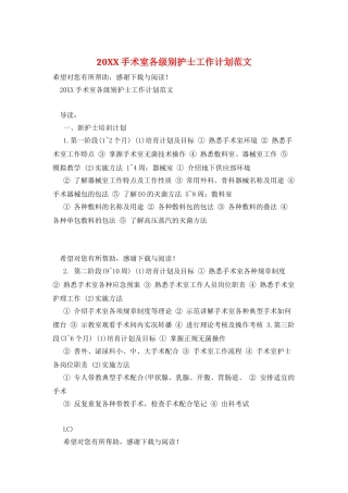 20XX手术室各级别护士工作计划范文
