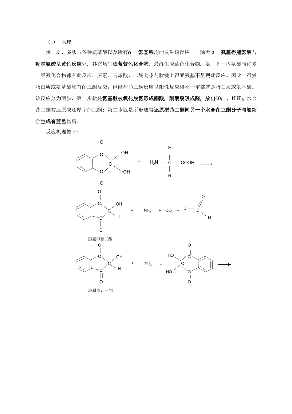 2、蛋白质的显色反应_第2页