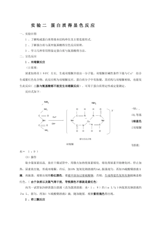 2、蛋白质的显色反应