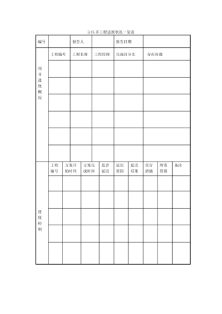 315多项目进展状况一览表